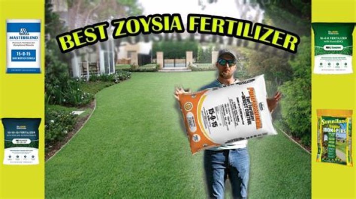What is the best fertilizer for brassicas