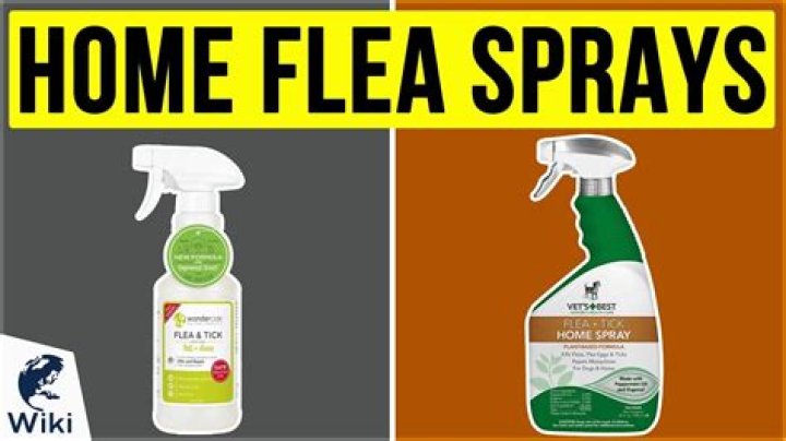 What is the best flea spray for your house