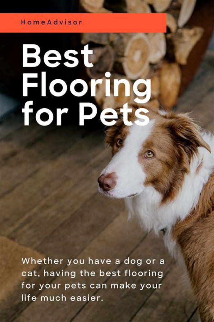 What is the best flooring for pet urine