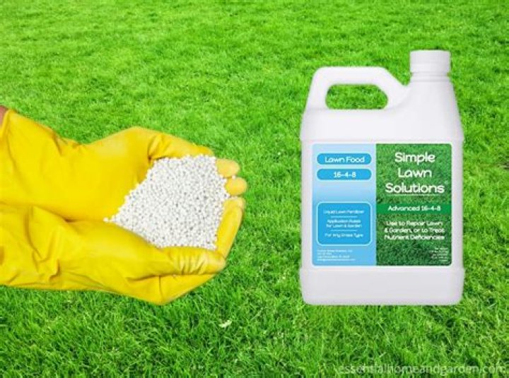 What is the best lawn fertilizer in Canada