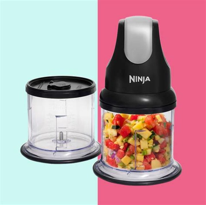 What is the best mini chopper to buy