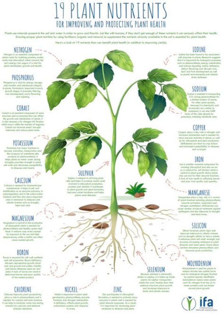 What is the best nutrients for plants