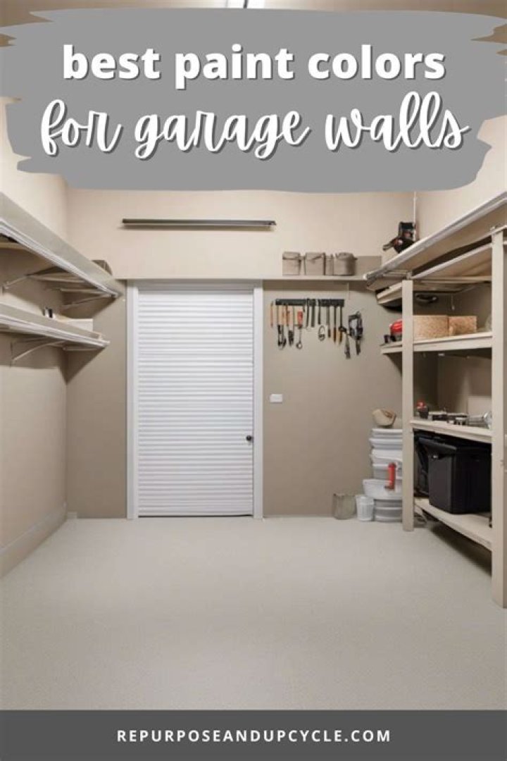 What is the best paint for garage walls
