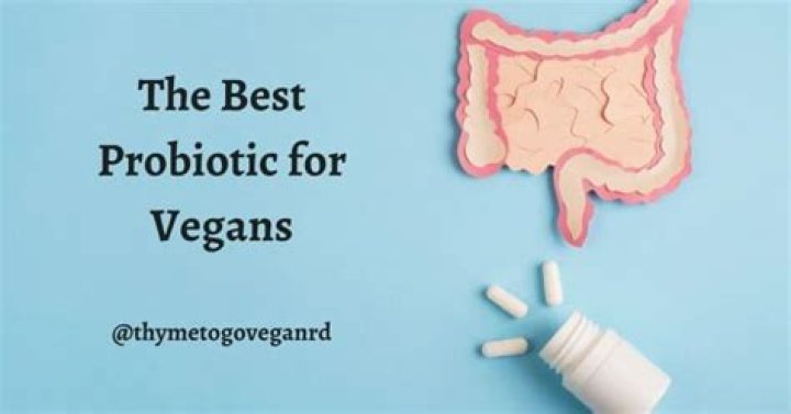 What is the best probiotic for vegans
