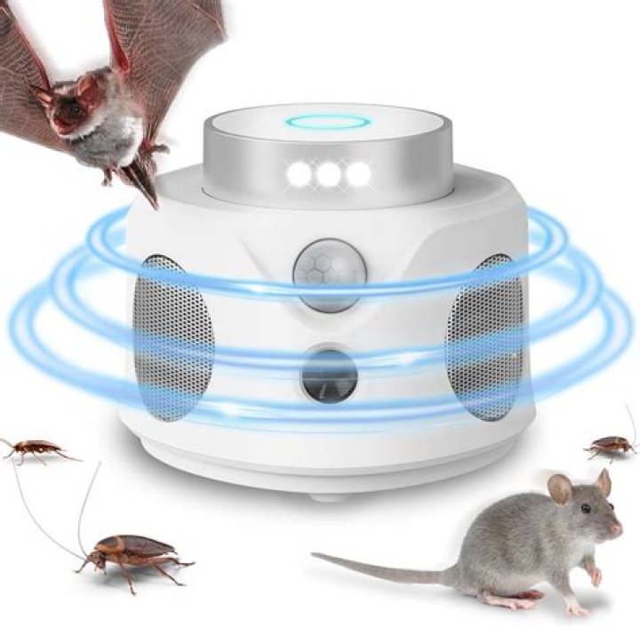 What is the best repellent for cats