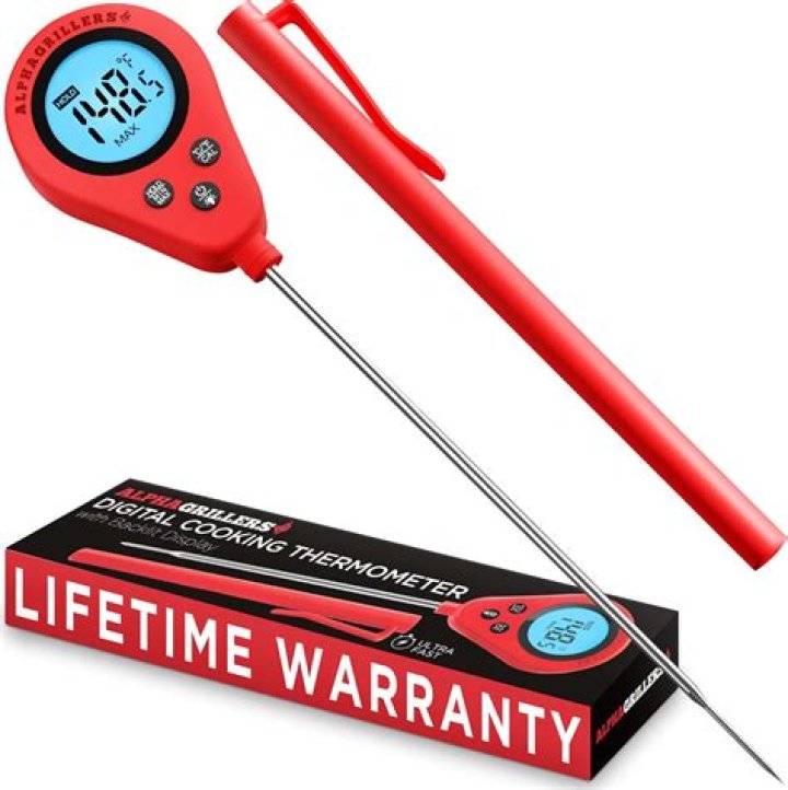 What is the best thermometer for cooking