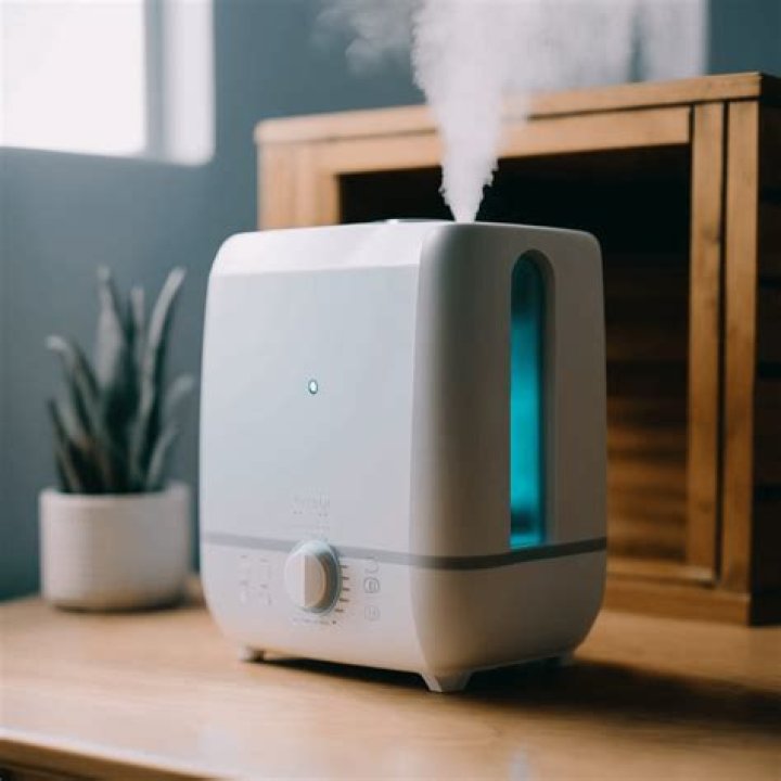 What is the best whole house humidifier to buy