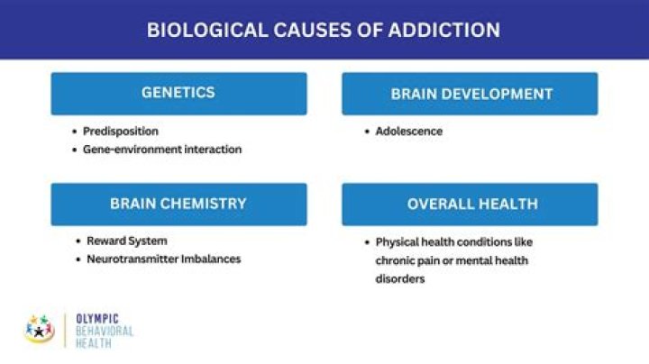 What is the biological model of addiction