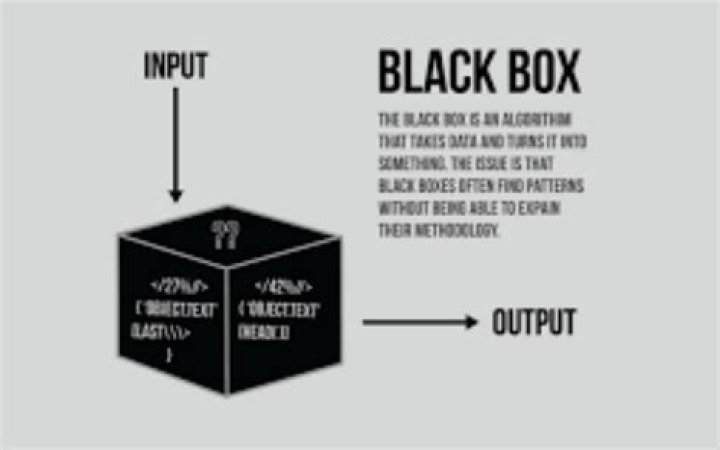 What is the black box in psychology
