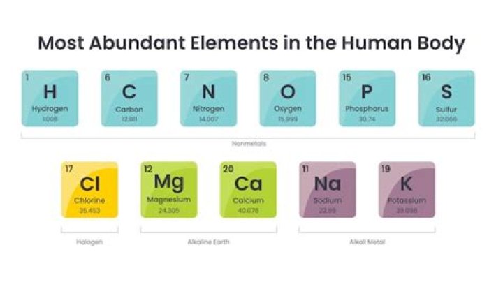 What is the bodys most abundant mineral