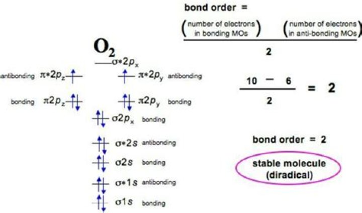 What is the bond order of o2 )-