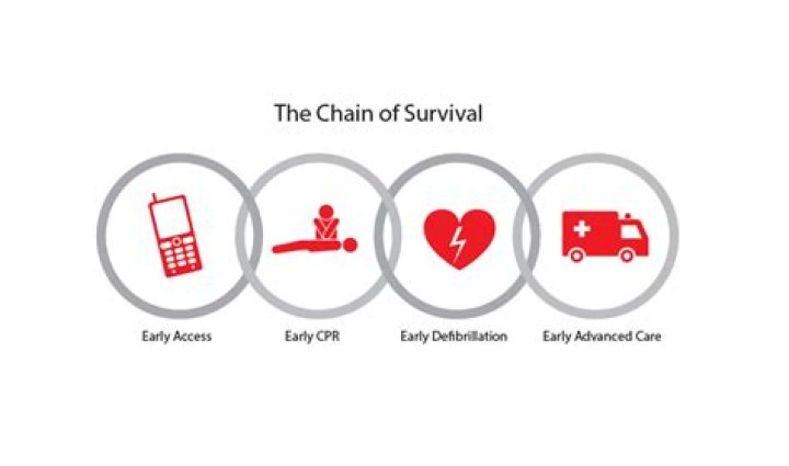 What is the chain of survival in CPR