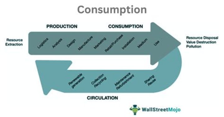 What is the consumption function and what does it tell us