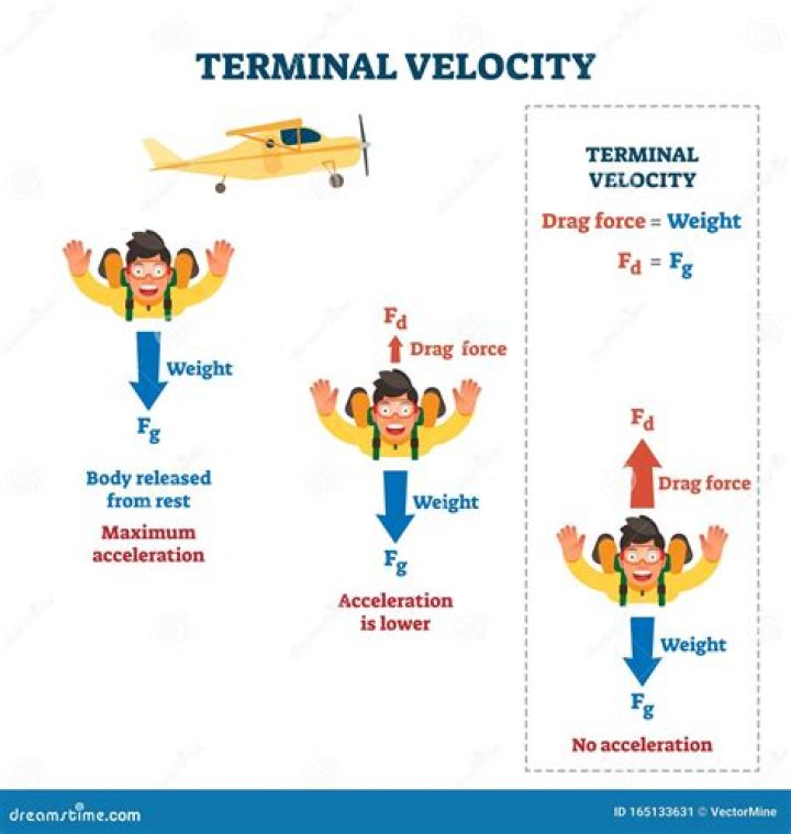 What is the definition of terminal velocity in physics