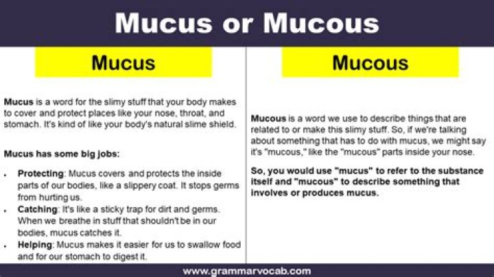 What is the difference between mucus and mucous