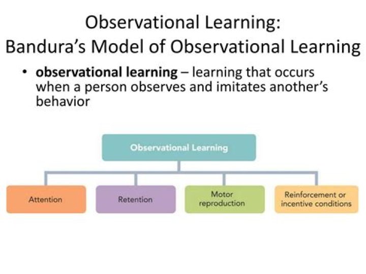 What is the difference between observational learning and modeling
