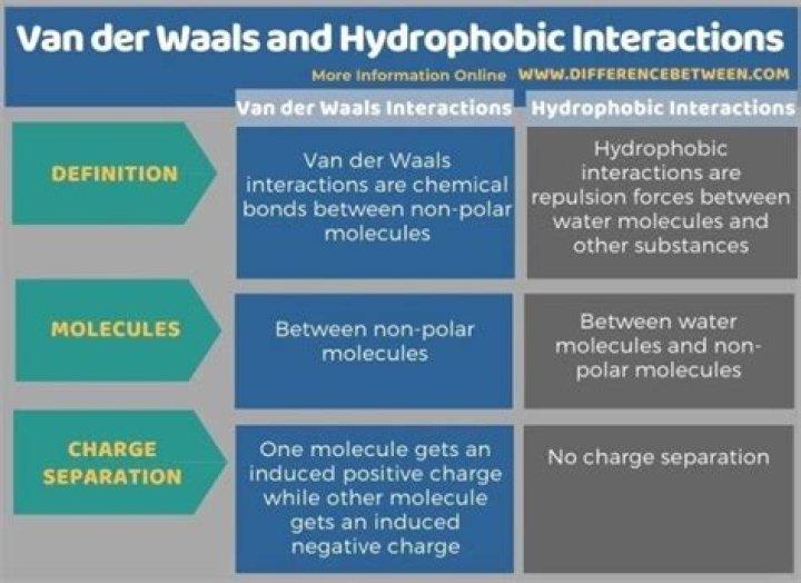 What is the difference between van der Waals and hydrophobic interactions