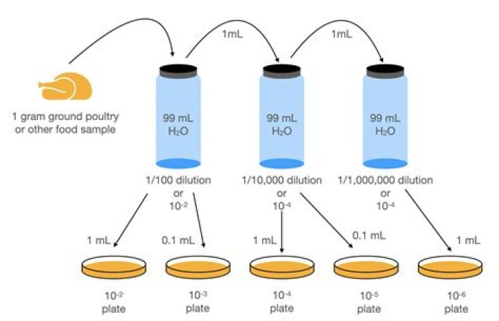 What is the dilution factor of the coffee if you start with 1 mL of coffee and 4 ml of water