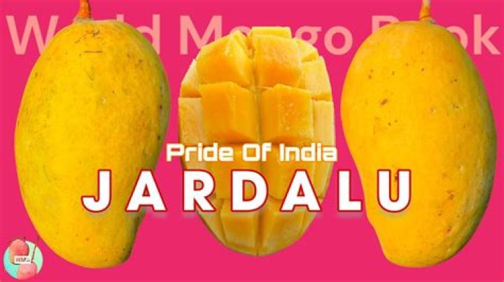 What is the English name of Jardalu