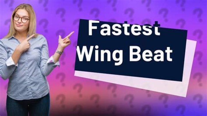 What is the fastest wing beat