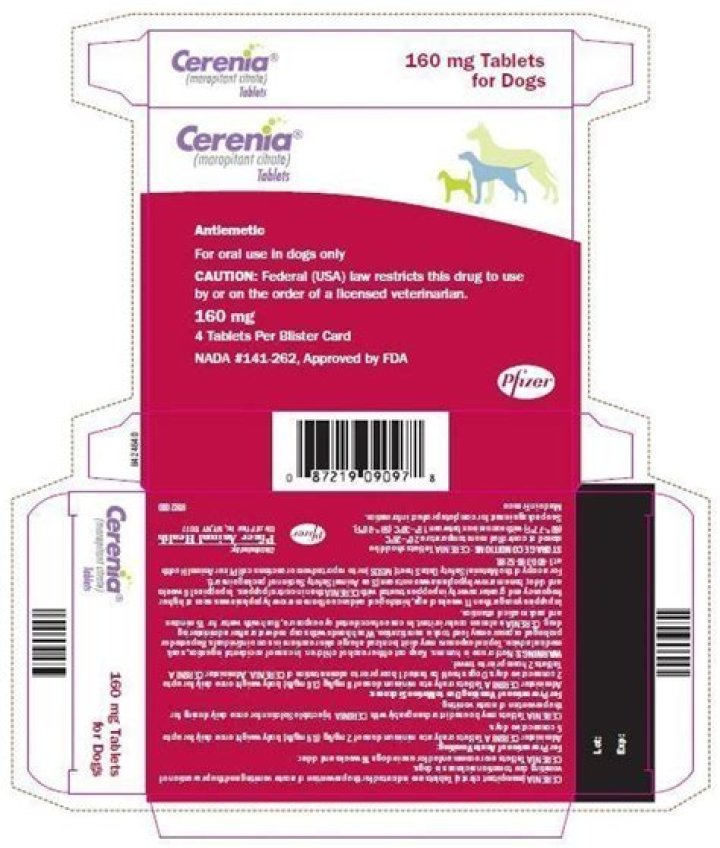What is the generic name for cerenia