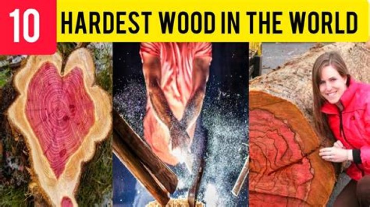 What is the hardest and strongest wood