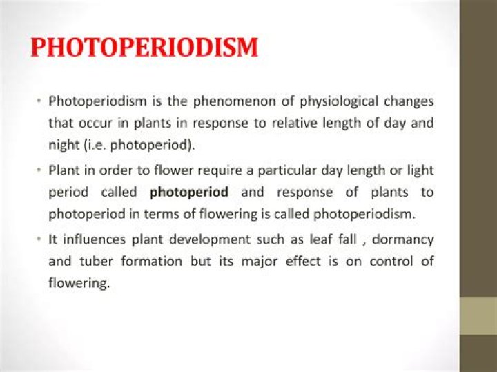 What is the importance of Photoperiodism