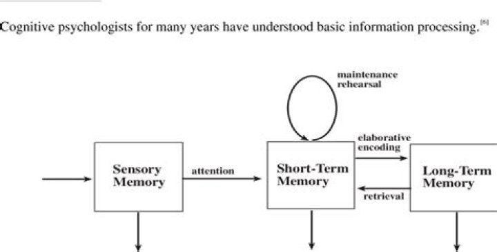 What is the information processing view of memory