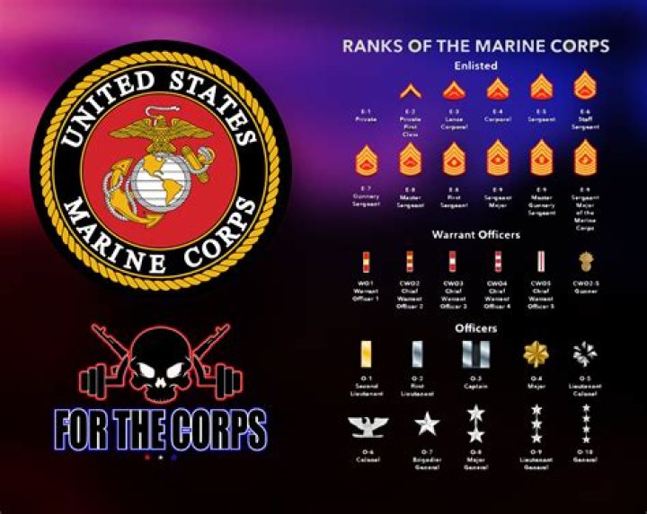 What is the Marine insignia called