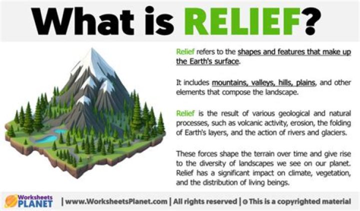 What is the meaning of relief camp