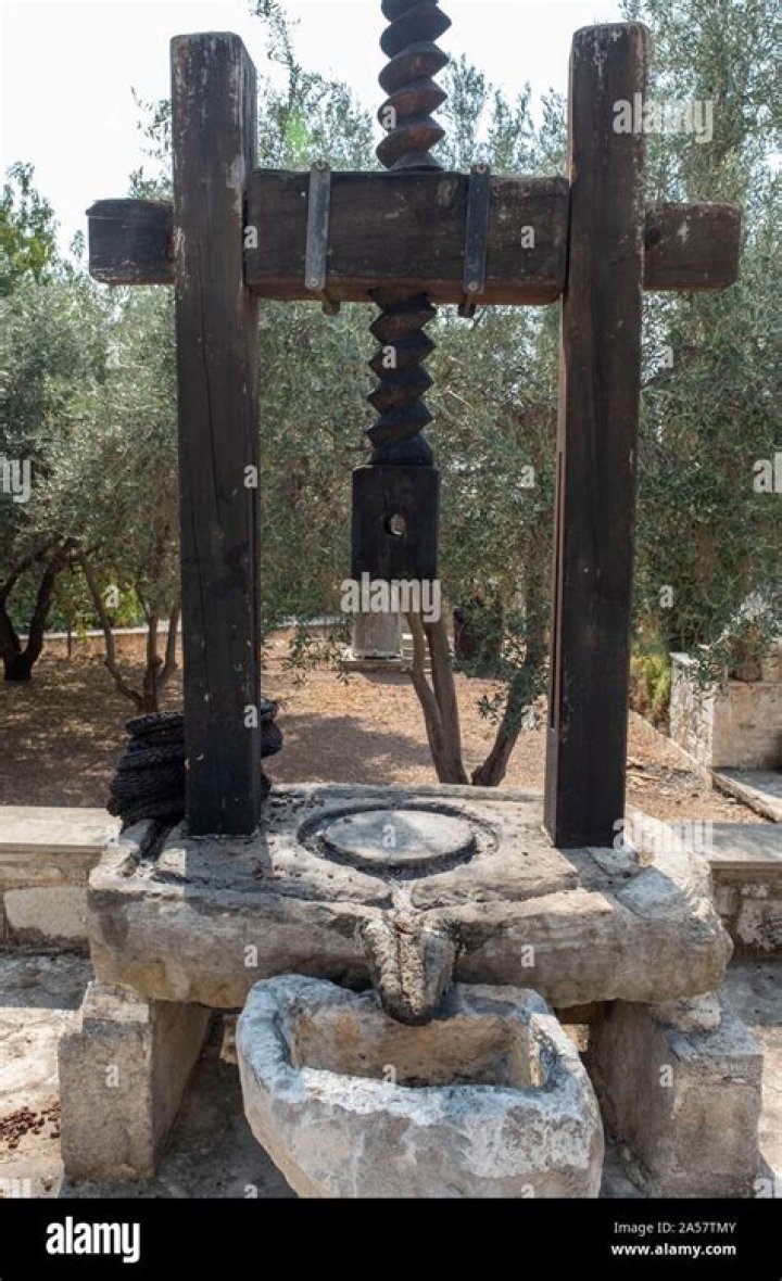 What is the meaning of wine and olive presses
