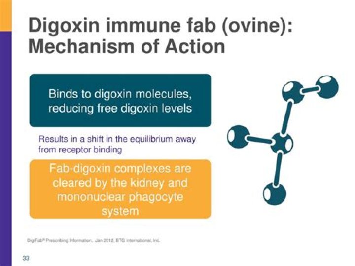 What is the mechanism of action of digoxin immune Fab