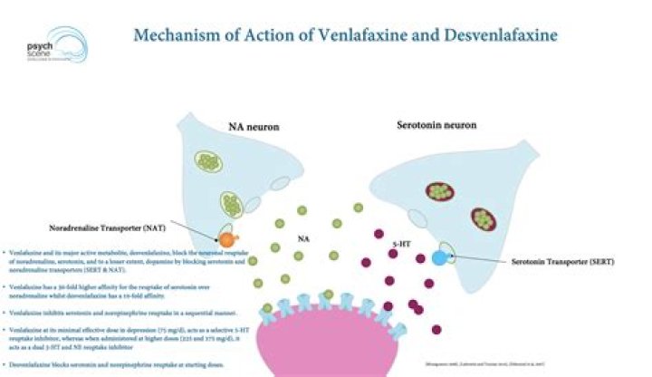 What is the mechanism of action of venlafaxine