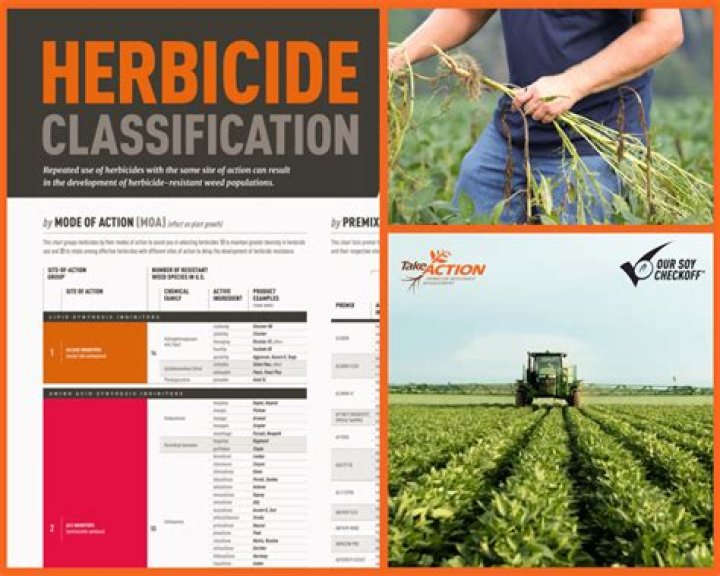 What is the mode of action of herbicides