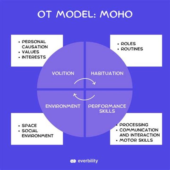 What is the Moho model