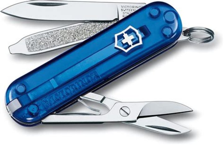 What is the most important survival tool