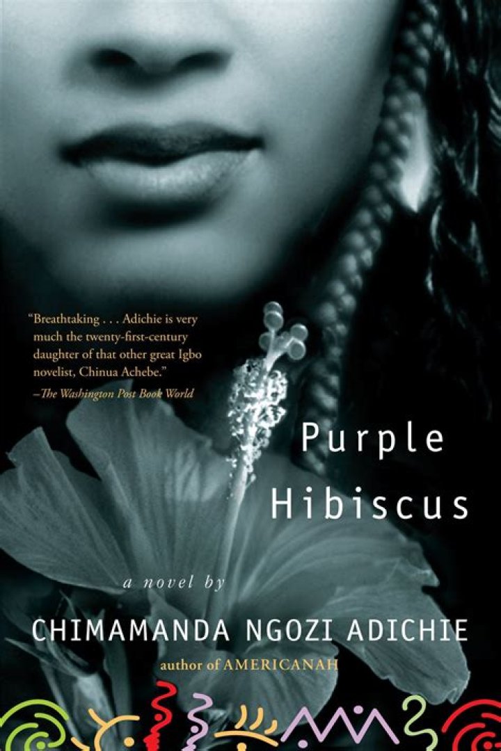 What is the novel Purple Hibiscus all about