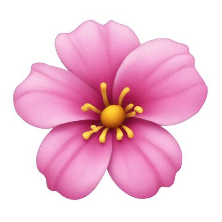 What is the pink flower Emoji