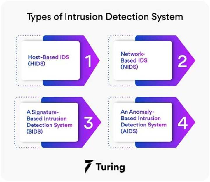 What is the principle of intrusion