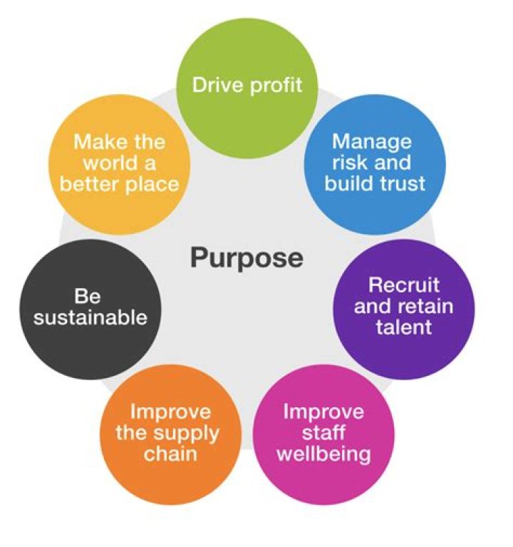 What is the purpose of a special purpose district