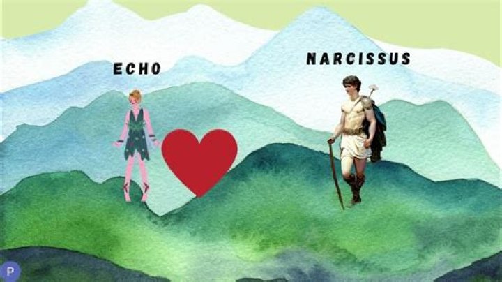 What is the purpose of Echo Narcissus