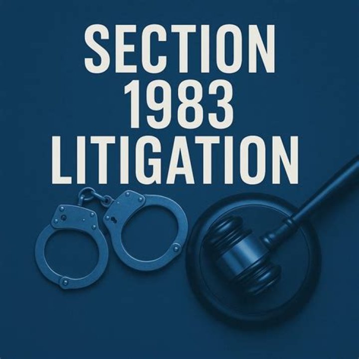 What is the purpose of Section 1983 litigation