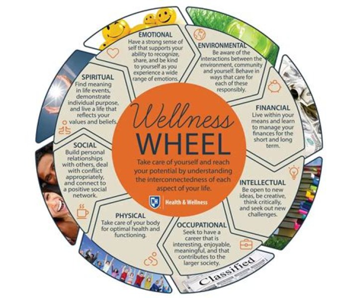 What is the purpose of the wellness wheel
