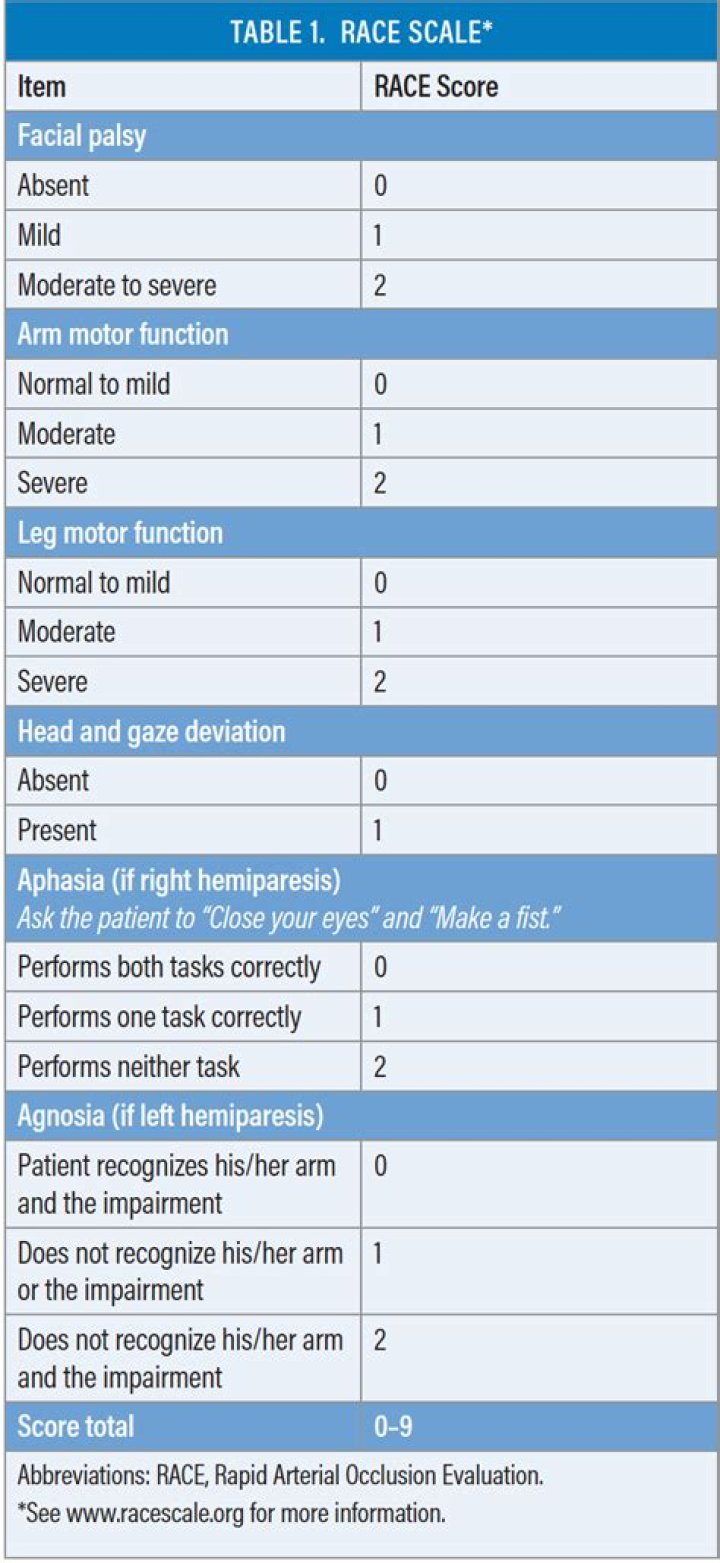 What is the race Stroke Scale