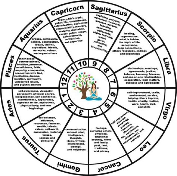 What is the significance of houses in astrology