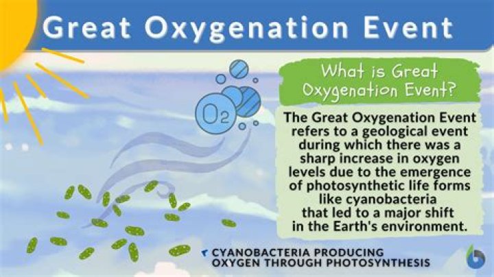 What is the significance of the Great Oxygenation Event
