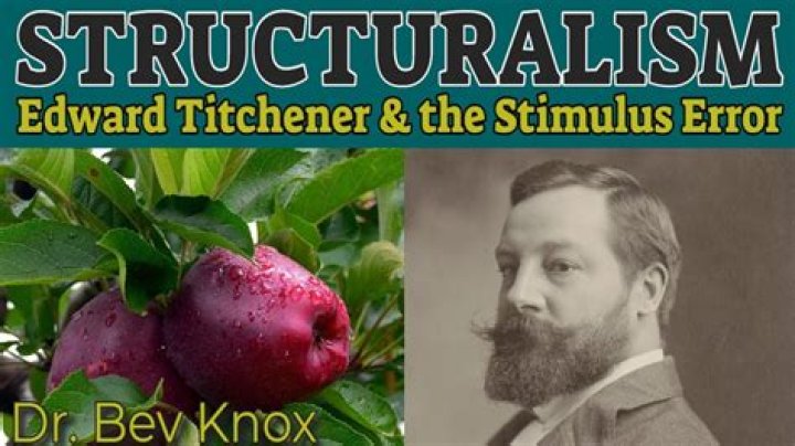 What is the stimulus error Titchener