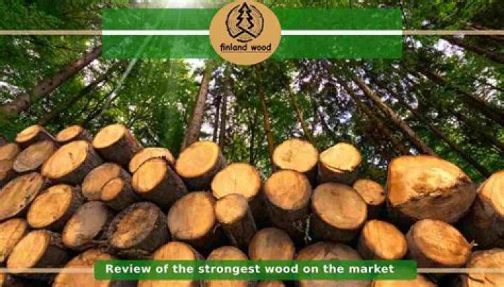 What is the strongest wood finish