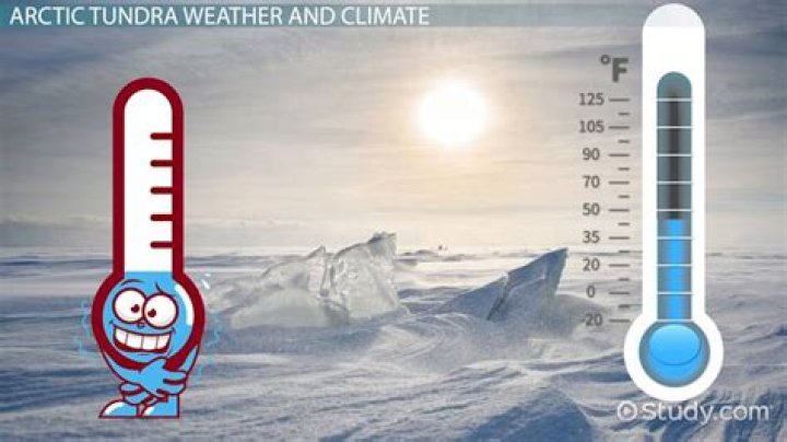 What is the temperature range in the tundra