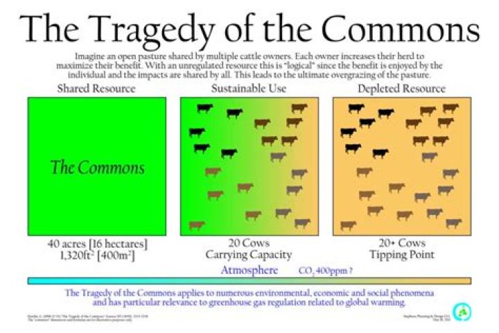 What is the tragedy in the tragedy of Commons